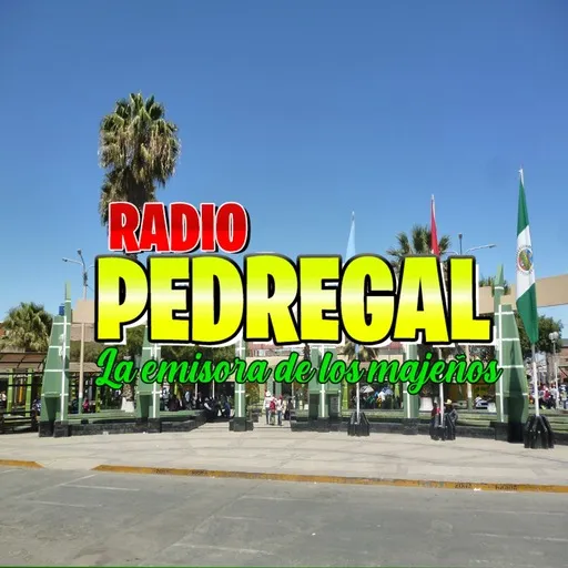 Radio Pedregal